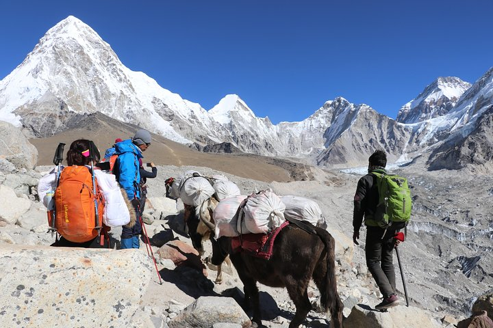Trekkers and Caravan are heading up to Everest Base Camp