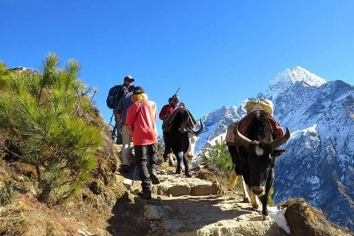 14 Days Everest Base Camp Trek from Kathmandu (All Inclusive) - Photo 1 of 14