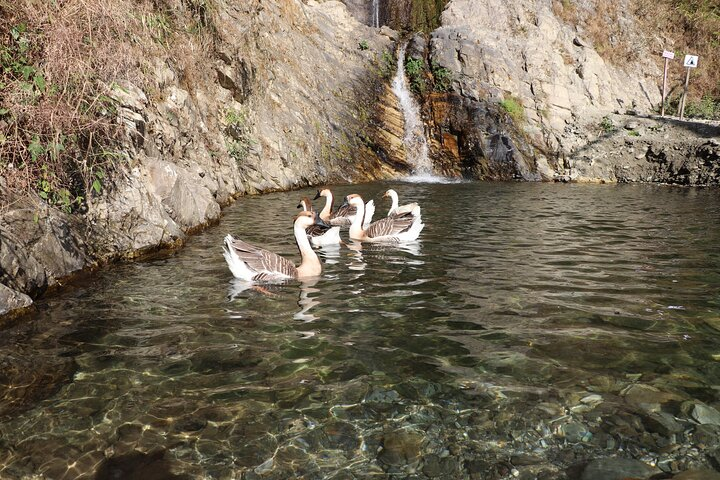 Everest Gokyo Lake Trek  - Photo 1 of 9
