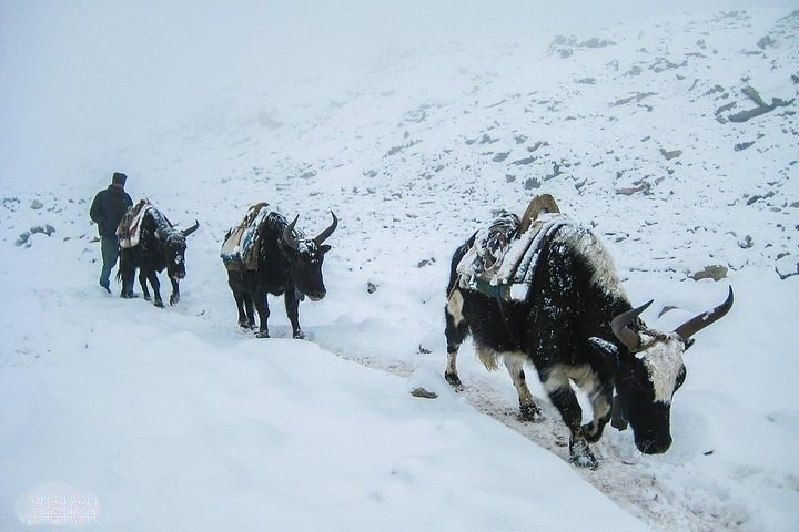 Everest Base Camp Trek - Photo 1 of 7