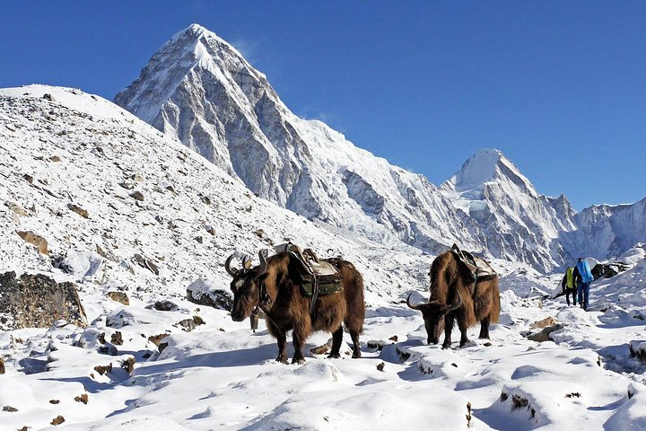 Everest Trekking