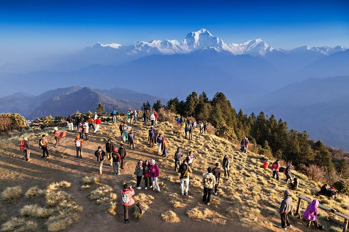 Ghorepani Poon Hill Sunrise Trek - Photo 1 of 7