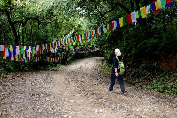 Hiking trail.