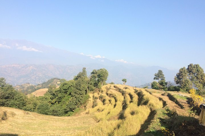 Kakani
