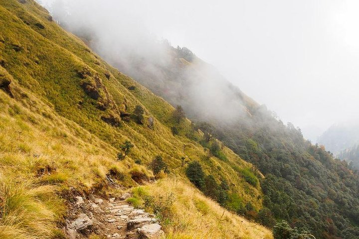 Khopra Hill Trek - Photo 1 of 3
