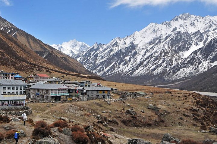Langtang Mountain View