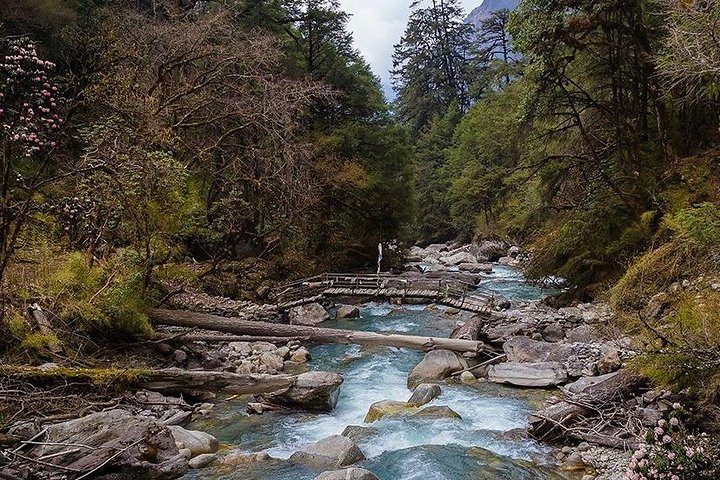 Langtang Valley Trek - Photo 1 of 3