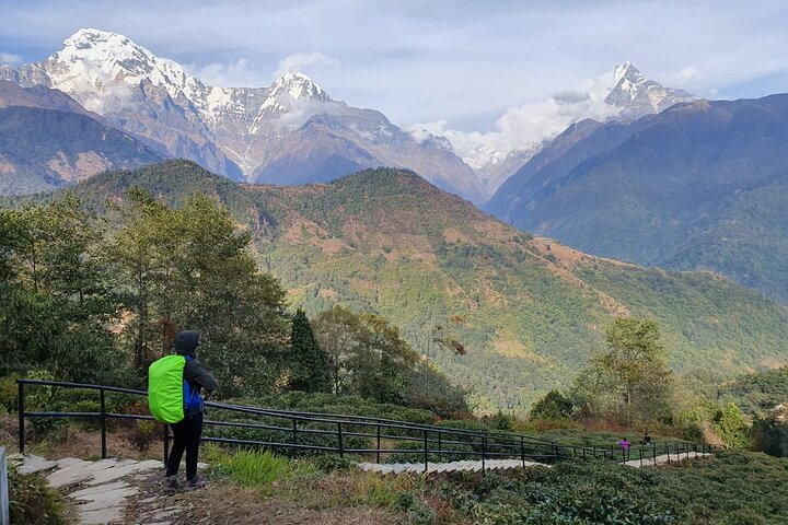 Mountains, Wildlife and Culture Tour - Photo 1 of 13