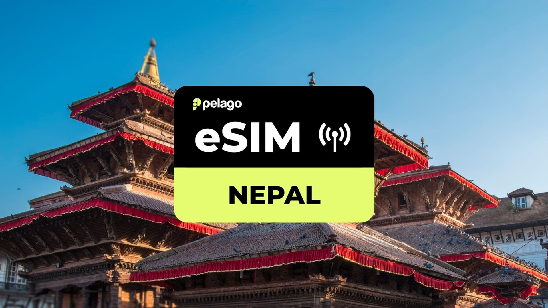 尼泊尔最佳玩乐活动| 更新于一月2026