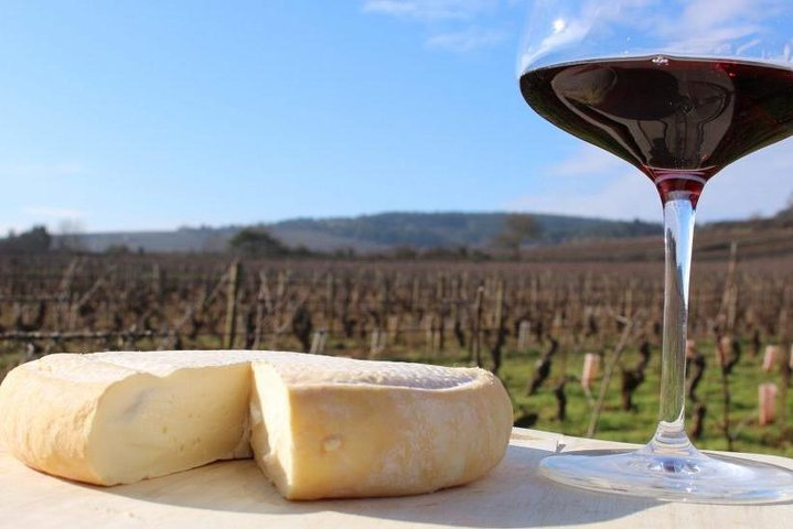 Nepalese goat cheese tasting with short trek near Kathmandu  - Photo 1 of 8