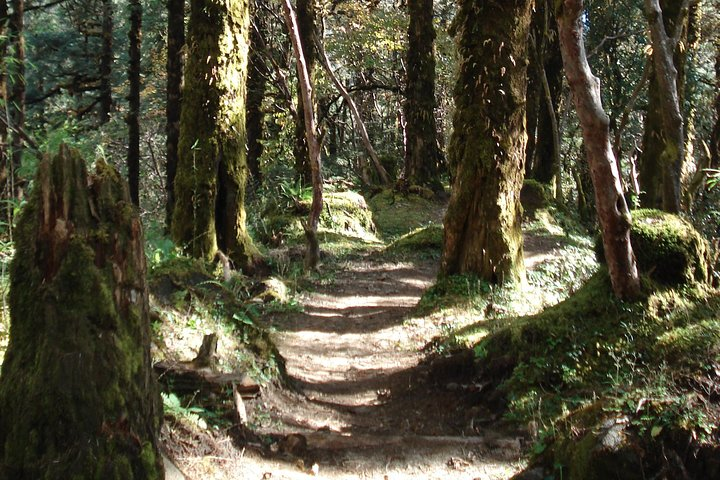 One-Day Hiking and Trekking in Kathmandu Valley - Photo 1 of 7