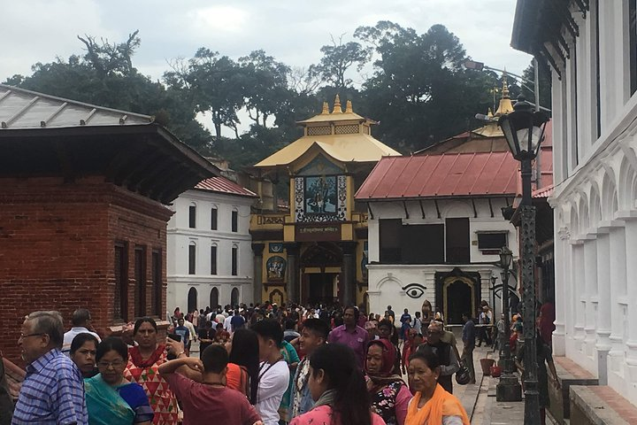 Bhakta at Pashupatinath Temple