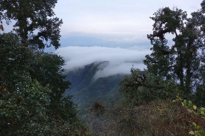 Phulchowki Hiking - Photo 1 of 4