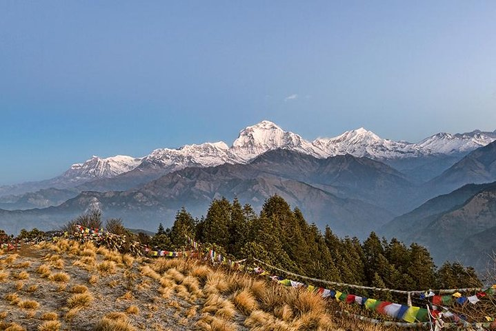 Poon Hill Trek