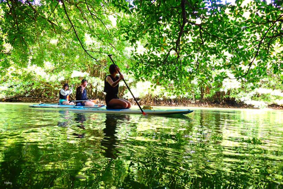 Ishigaki Island Miyara River Mangrove SUP/Canoe Experience + Kabira Bay + Ogamizaki Scenic 1-Day Tour (Free Photo Data / Transportation Included) - Photo 1 of 10