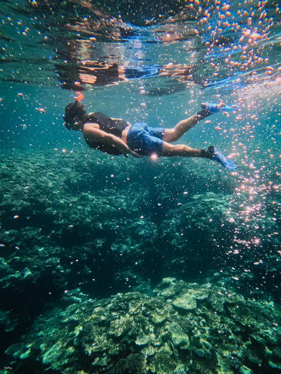 [1 day] Photograph the "blue" of Ishigaki Island! A one-day photo tour and Blue Cave snorkeling package - Photo 1 of 10