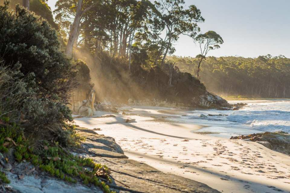 2-Day Bruny Island & Port Arthur Tour From Hobart | Tasmania - Photo 1 of 10