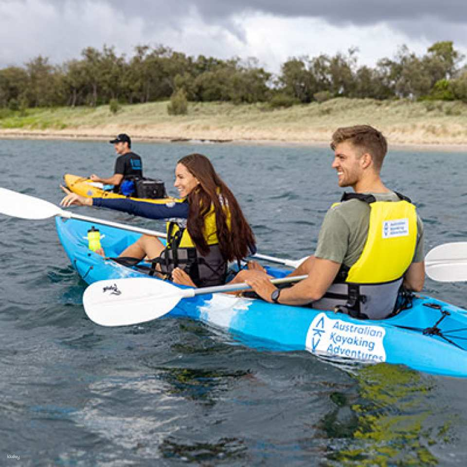 2 Hours Broadwater Dolphin Kayaking & Snorkeling Tour | Queensland - Photo 1 of 7