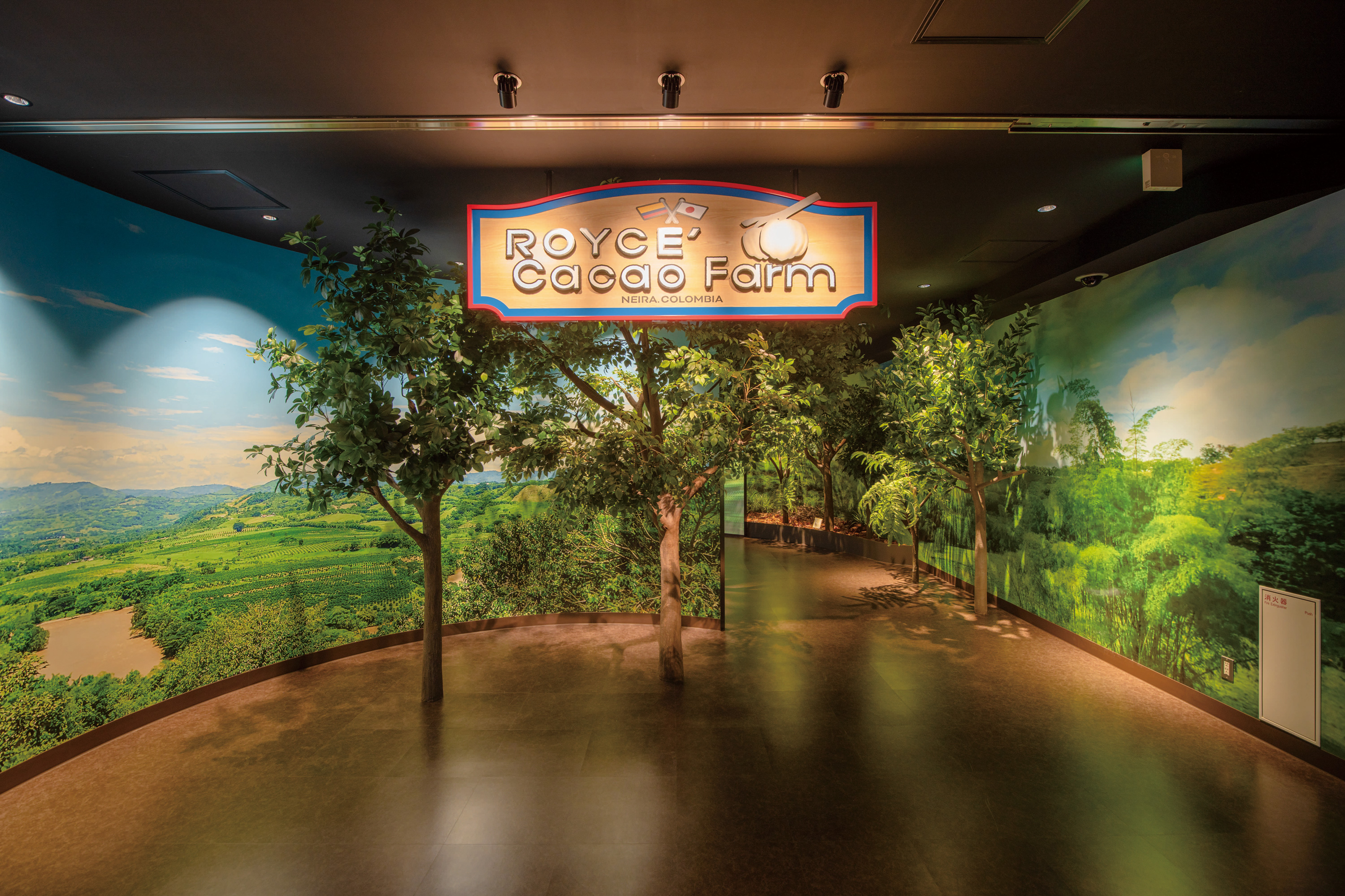 [2025 Winter] [Hokkaido Regular Sightseeing Bus] H: ROYCE’ Cacao & Chocolate Town, Sapporo Mt. Moiwa Ropeway and Sapporo Central Wholesale Market Jogai Market Course - Photo 1 of 6