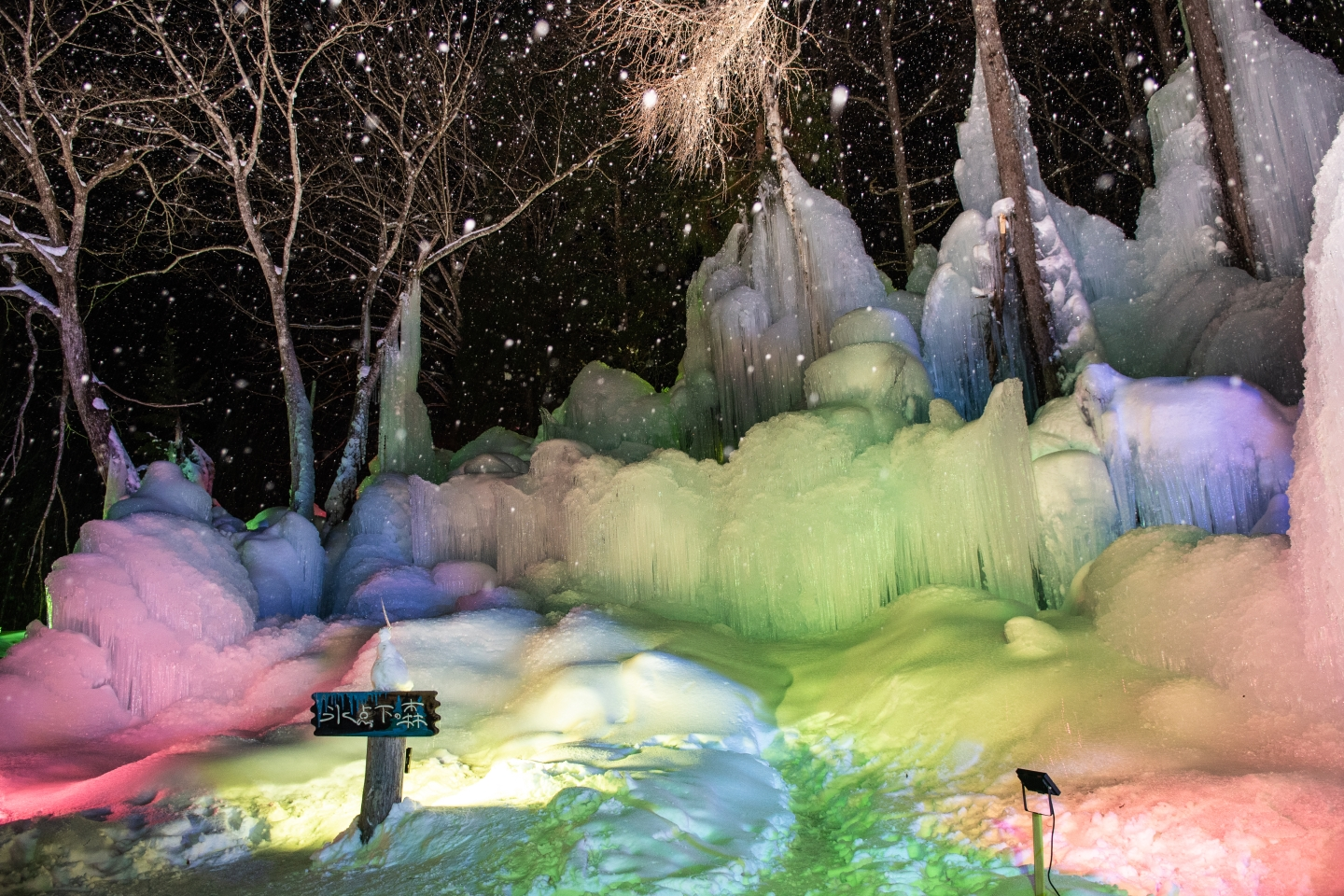 2026 Illumination of the Subzero Forest at the Akigami Onsen - Photo 1 of 5