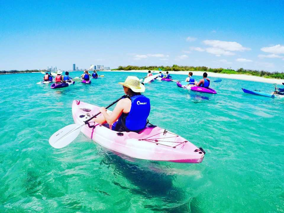 3 Hours Morning Dolphin Kayaking & Snorkeling Tour in Gold Coast | Queensland - Photo 1 of 8