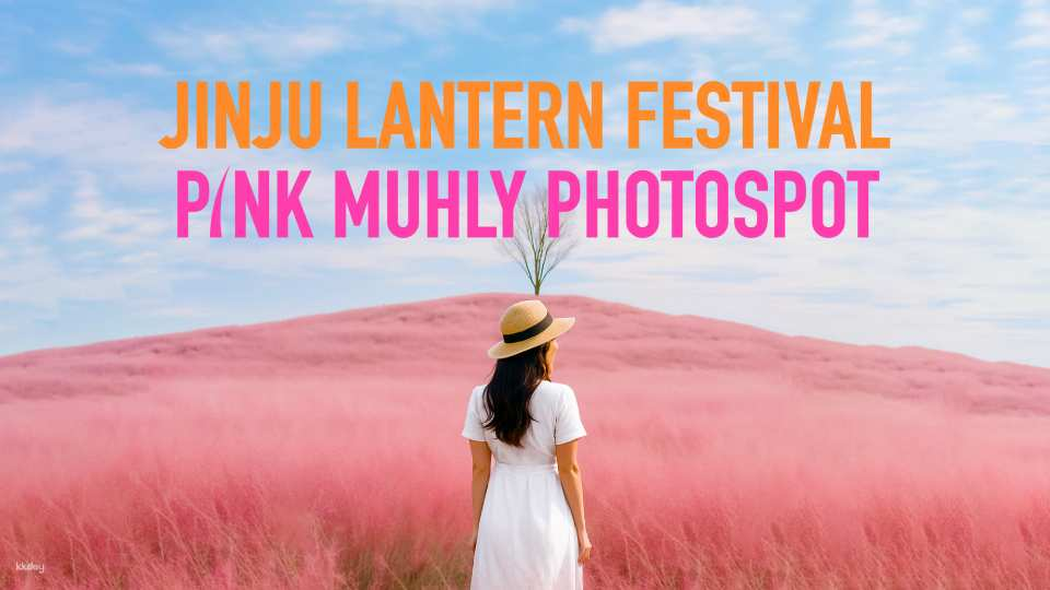 Autumn Special: 2026 Jinju Namgang Lantern Festival & Pink Muhly Day Tour (Departure from Busan) | South Korea - Photo 1 of 9