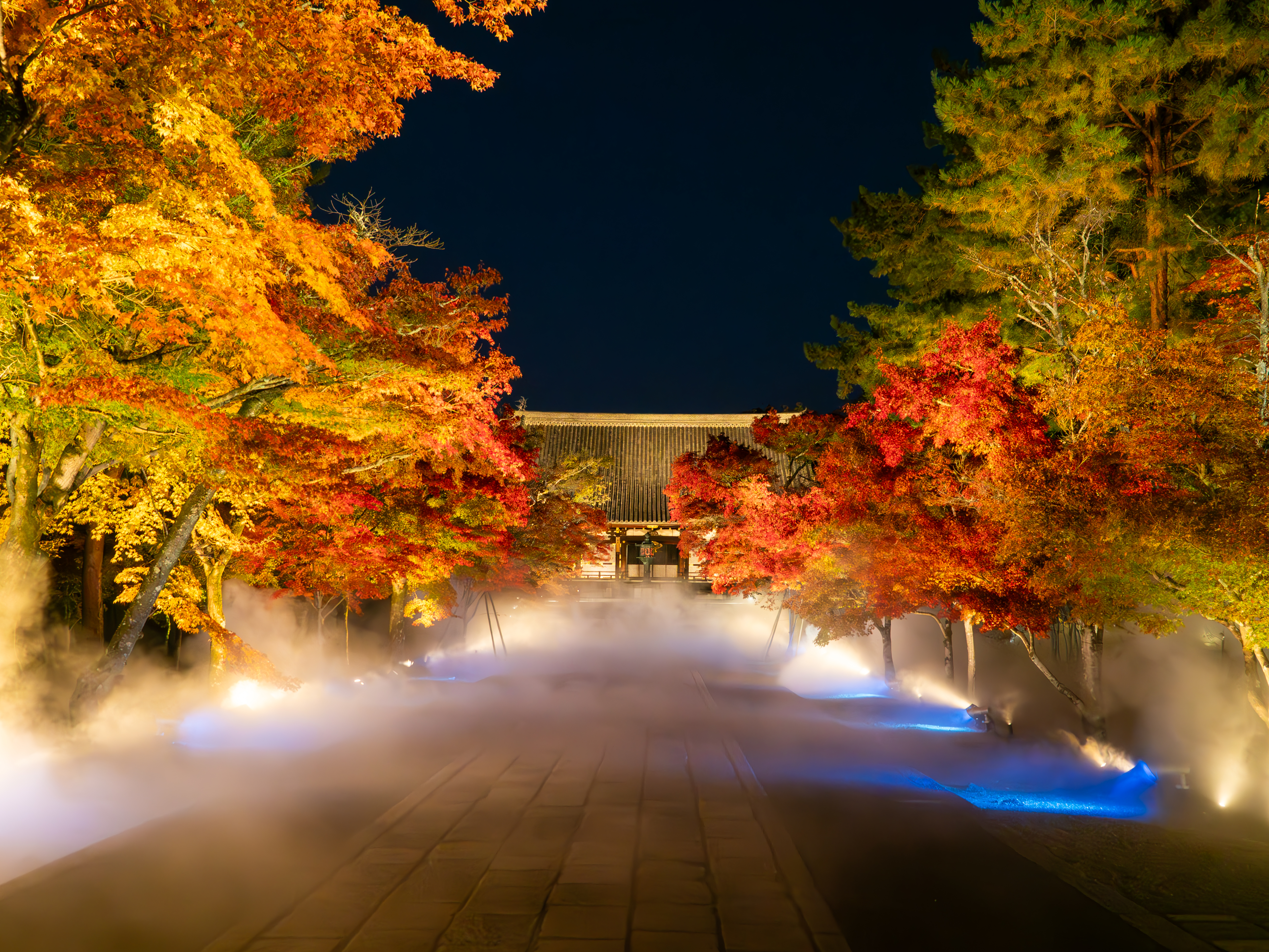 5-Day Limited Edition Ninna-ji Temple Autumn Foliage Sea of Clouds Illumination Premium Plan: A Special Night to Enjoy from Dusk - Photo 1 of 6