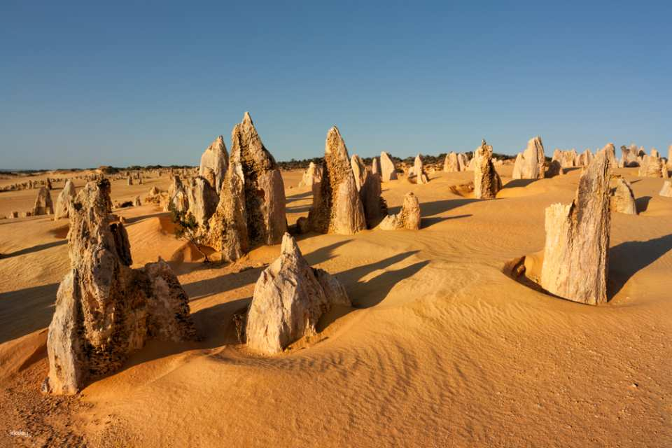 A 7-Day Pink Ocean Adventure in Western Australia | Departing from Perth - Photo 1 of 10