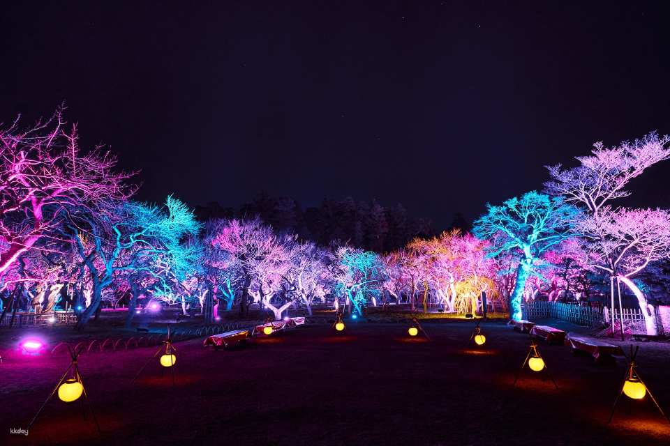 Admission ticket for the light-up event "Kairakuen UME The Lights 2026" (Mito City, Ibaraki Prefecture, Event) - Photo 1 of 10