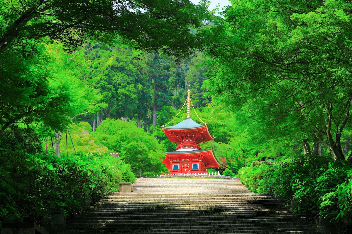 [Direct Entry] Admission Ticket to Katsuo-ji Temple, the Temple of Good Fortune - Photo 1 of 9