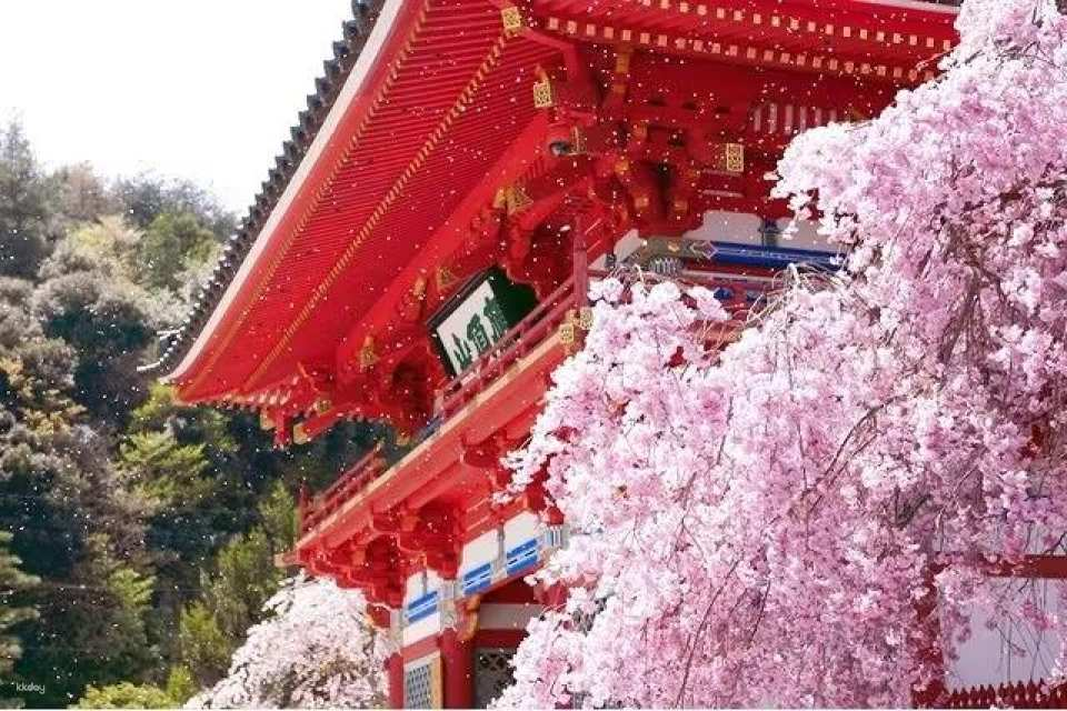 Admission ticket to Minoh Katsuoji Temple in Osaka, Japan - Photo 1 of 10