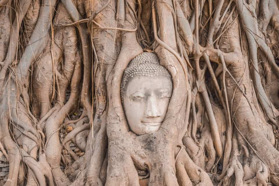 [Japanese-speaking guide] Afternoon departure: Ayutthaya World Heritage Site sightseeing tour & elephant riding experience by Panda Bus - Photo 1 of 10