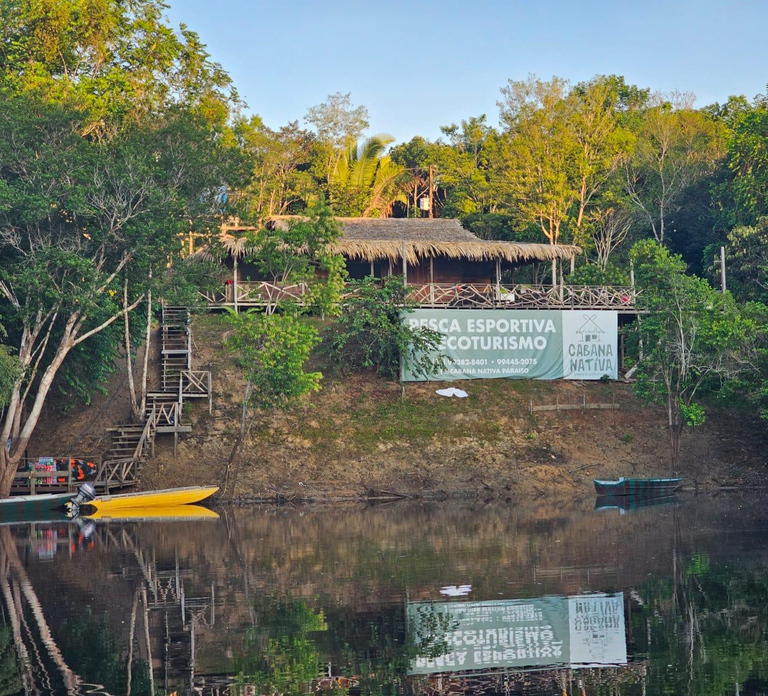 Amazonas: 2, 3, 4 or 5-Day Jungle Immersion - Photo 1 of 10