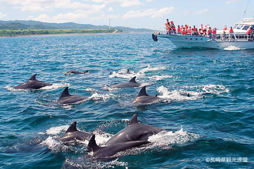An Unforgettable Dolphin Discovery from Nagasaki: Private Chartered Taxi Tour - Photo 1 of 2