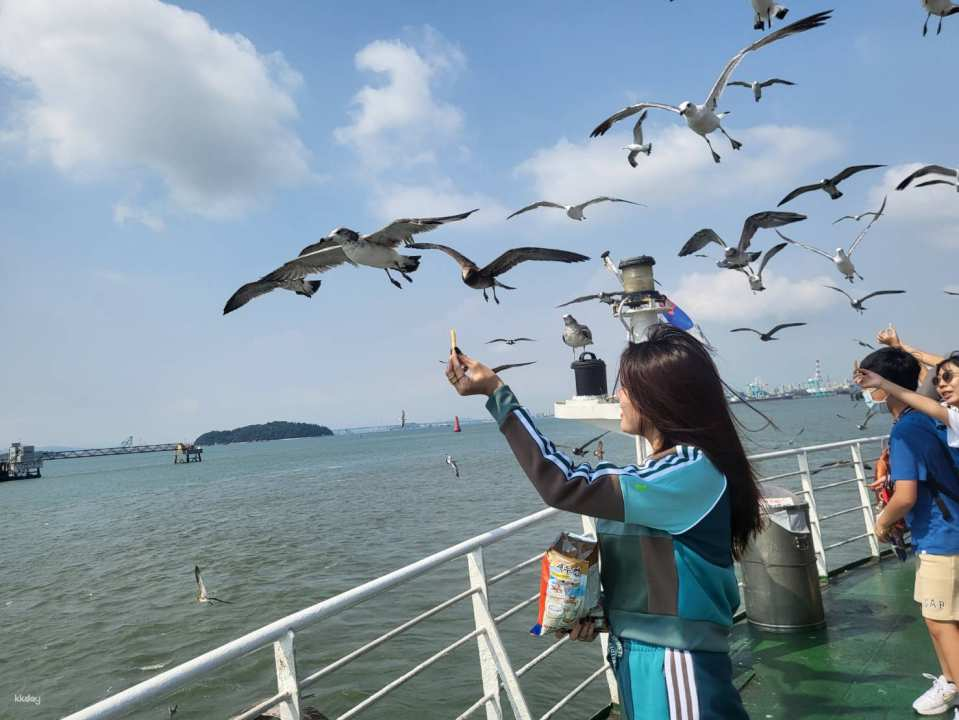 【Another New Experience】Gwangmyeong Cave + Incheon Songwol-dong Fairy Tale Village & Incheon Chinatown + Wolmido Seagull Feeding + Yeongjongdo Rail Bike Private One-Day Tour (Departing from Seoul Hotel) - Photo 1 of 8