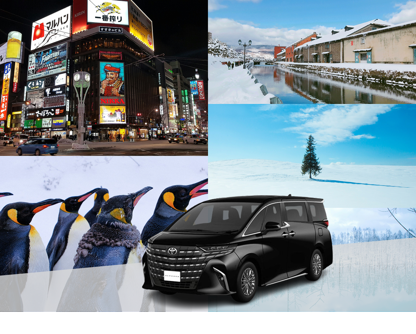 Sapporo Private Charter Car with Driver: Otaru, Biei, Furano, Noboribetsu, Lake Toya - Photo 1 of 5