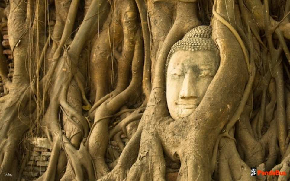 [Japanese Guide] Ayutthaya World Heritage Site Photogenic Tour: Pink Ganesha & Wat Paknam <Choose from 3 plans / Plan with elephant riding experience available> by Panda Bus - Photo 1 of 10