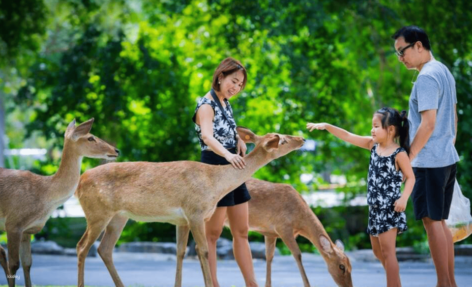 (방콕출발) 파타야 카오키여우 오픈주 반일 단독 투어 - Photo 1 of 9