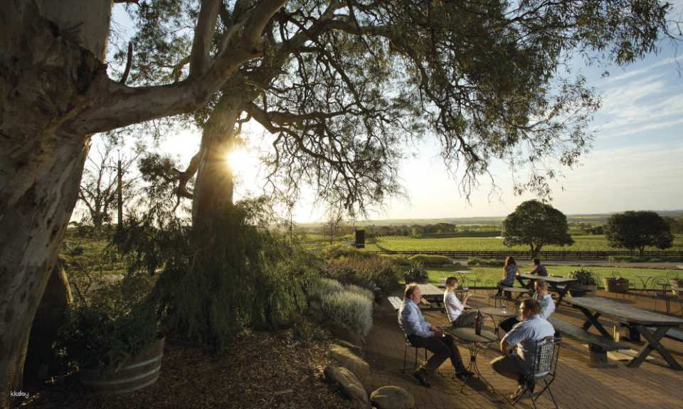 Barossa Valley Hop-On Hop-Off Tour (with Transfers from Adelaide) | South Australia - Photo 1 of 6