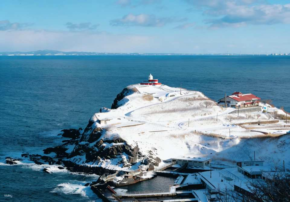 【Hokkaido In-Depth Otaru Leisurely Day Trip】Small Group Tour / Qianhan & Otaru Aquarium & Shuzu Observatory & Otaru Shopping Street & Tenguyama (Departing from Sapporo Station) - Photo 1 of 5