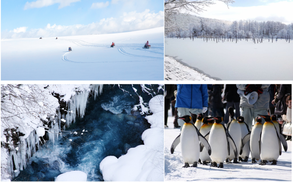 Hokkaido Asahikawa-Biei Day Trip / Shikisai-oka (Snowflake activities optional, such as snowmobiling / Winter Only) + Shirogane Blue Pond + Shirahige Falls + Asahikawa Zoo - Photo 1 of 9