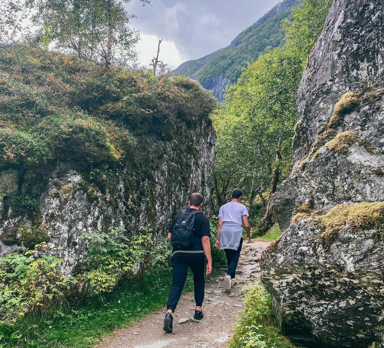 Bergen: Folgefonna National Park & Glacier Lake Tour & Lunch - Photo 1 of 9