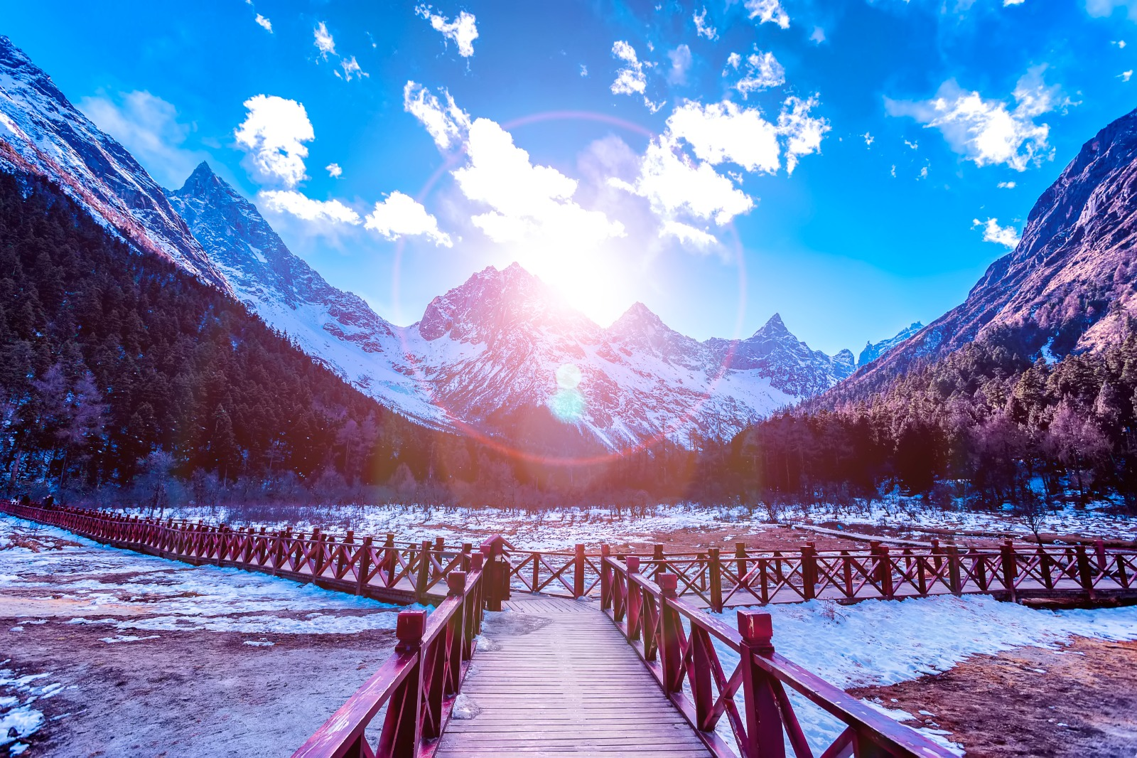 Bipenggou Admission Ticket + Shuttle Bus Adult (Non-Mainland Chinese Tourists) - Photo 1 of 7