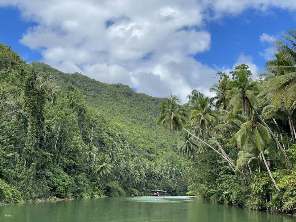 Bohol Land Tour Private Vehicle Chocolate Hills Tarsiers Loboc River Check-out Day Tour Car Rental - Photo 1 of 9