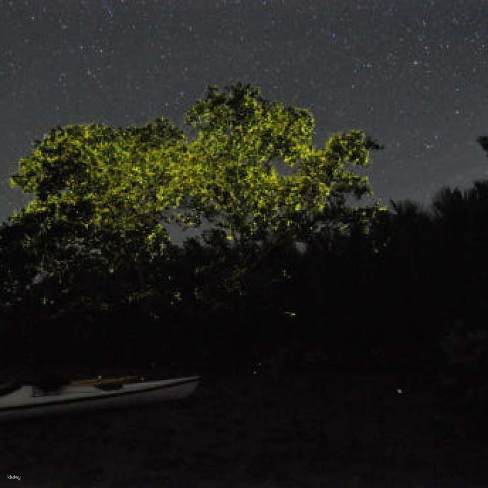 Bohol Firefly Tour, North Zen Sunset, Bamboo Bridge - Photo 1 of 5