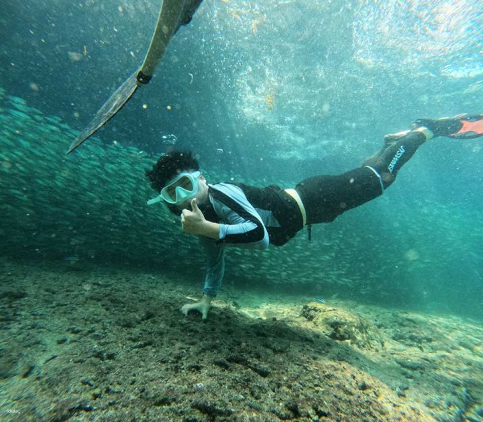 Bohol Napaling Experience Freediving + GoPro Filming (Korean Guide) - Photo 1 of 6