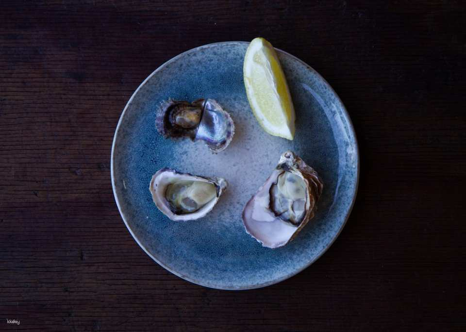 Broken Bay Pearl Farms Tour : Oyster Tasting | New South Wales - Photo 1 of 7