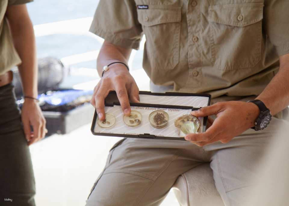 Broken Bay Pearl Shell to Showroom Tour | New South Wales - Photo 1 of 9