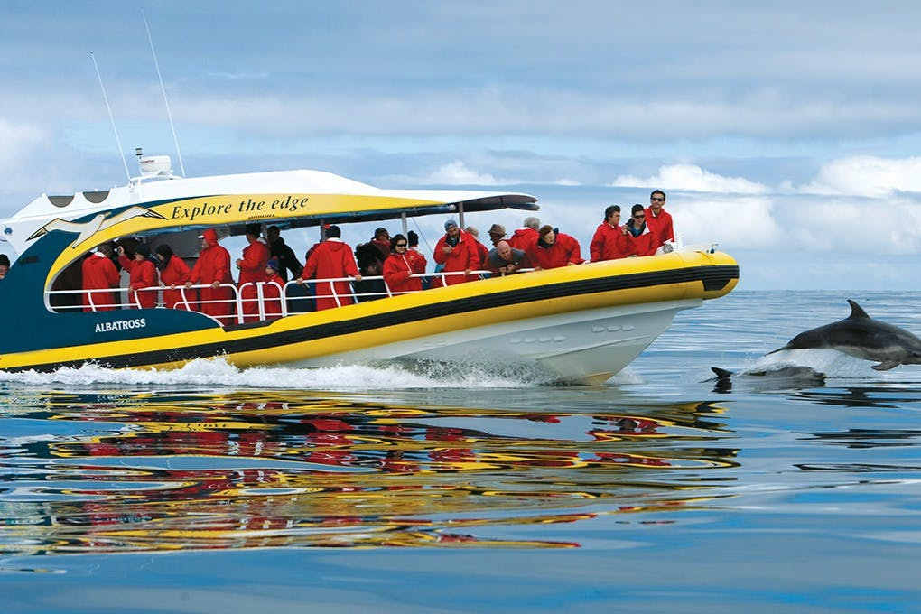 Bruny Island: Guided Bus Tour From Hobart + Cruise + Lunch - Photo 1 of 8