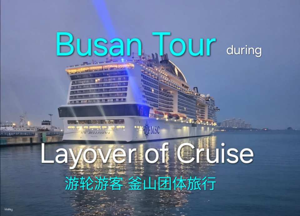 Busan Small Group Tour for Cruise Tourists (Up to 12 People) - Photo 1 of 10